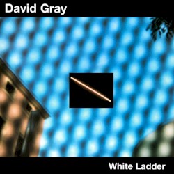 David Gray